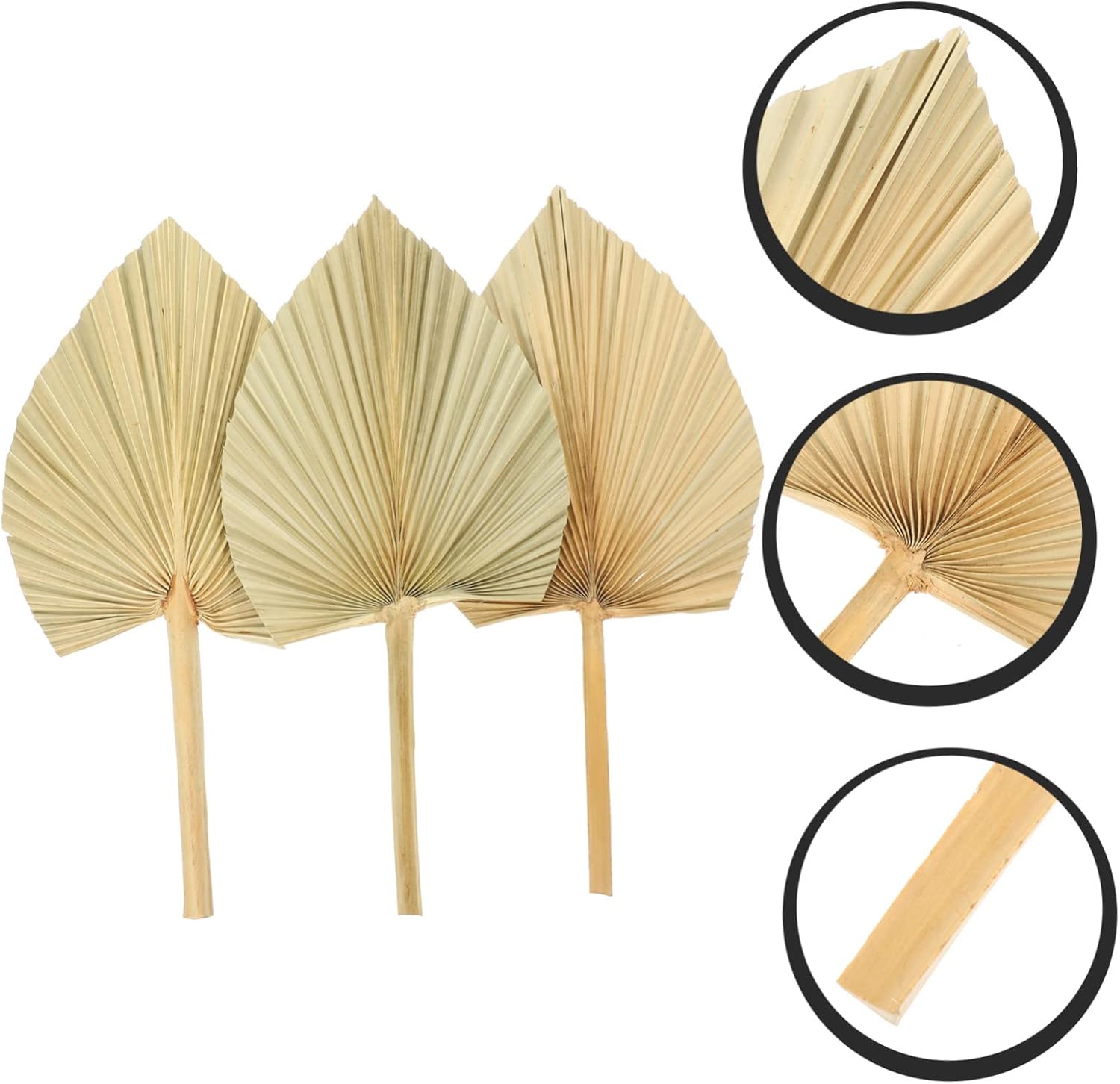 3PCS Dried Palm Leaf Decor Natural Palm Fan Ornaments Wall Hanging Art for Wedding Ceremony Home Decoration