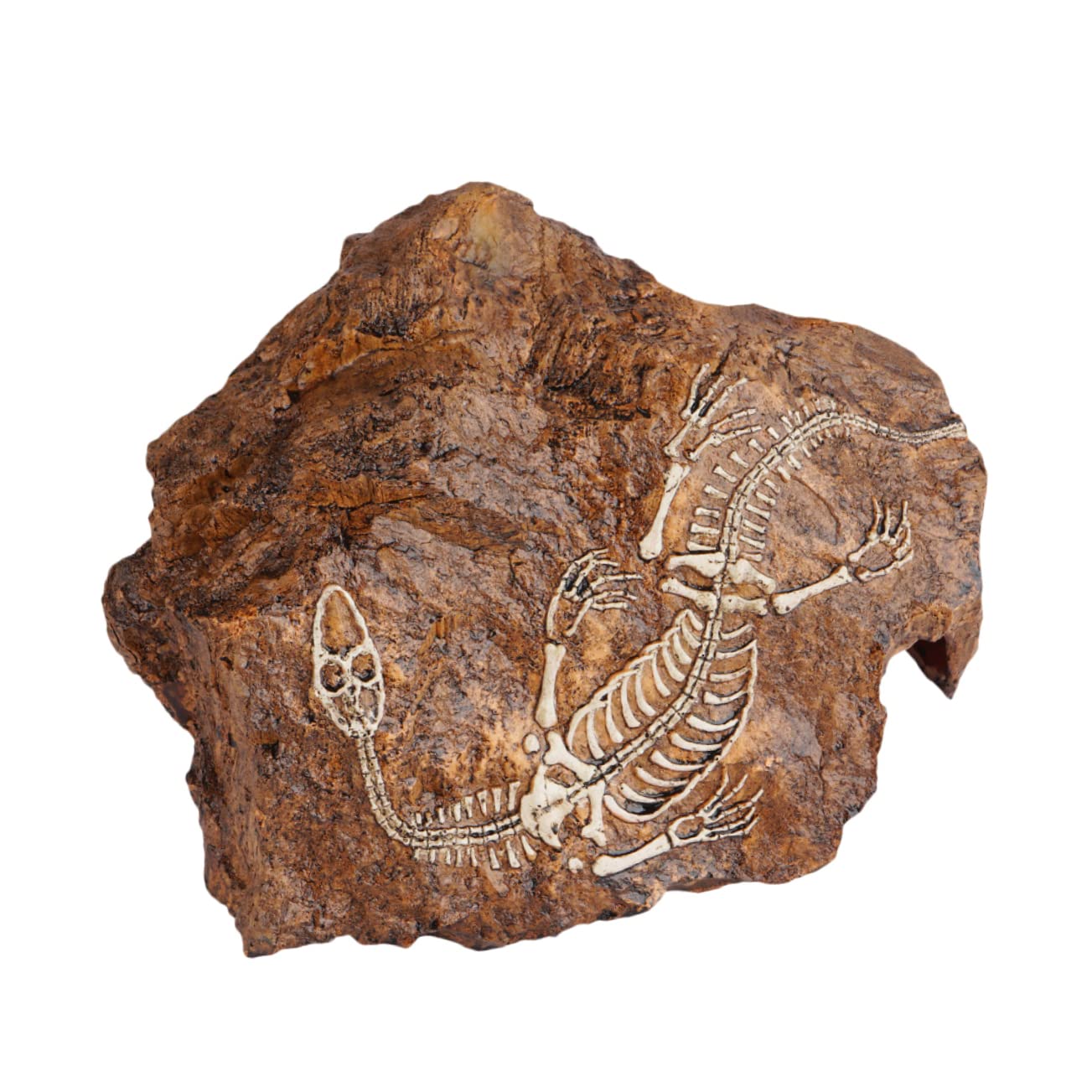 Hohopeti 1pièce Décoration Aquarium Crâne Résine Ornement Lifelike pour Poisson Et Plantes Aquatiques Statue De Pierre Naturelle pour Aménagement Paysager De Réservoirs Aquatiques