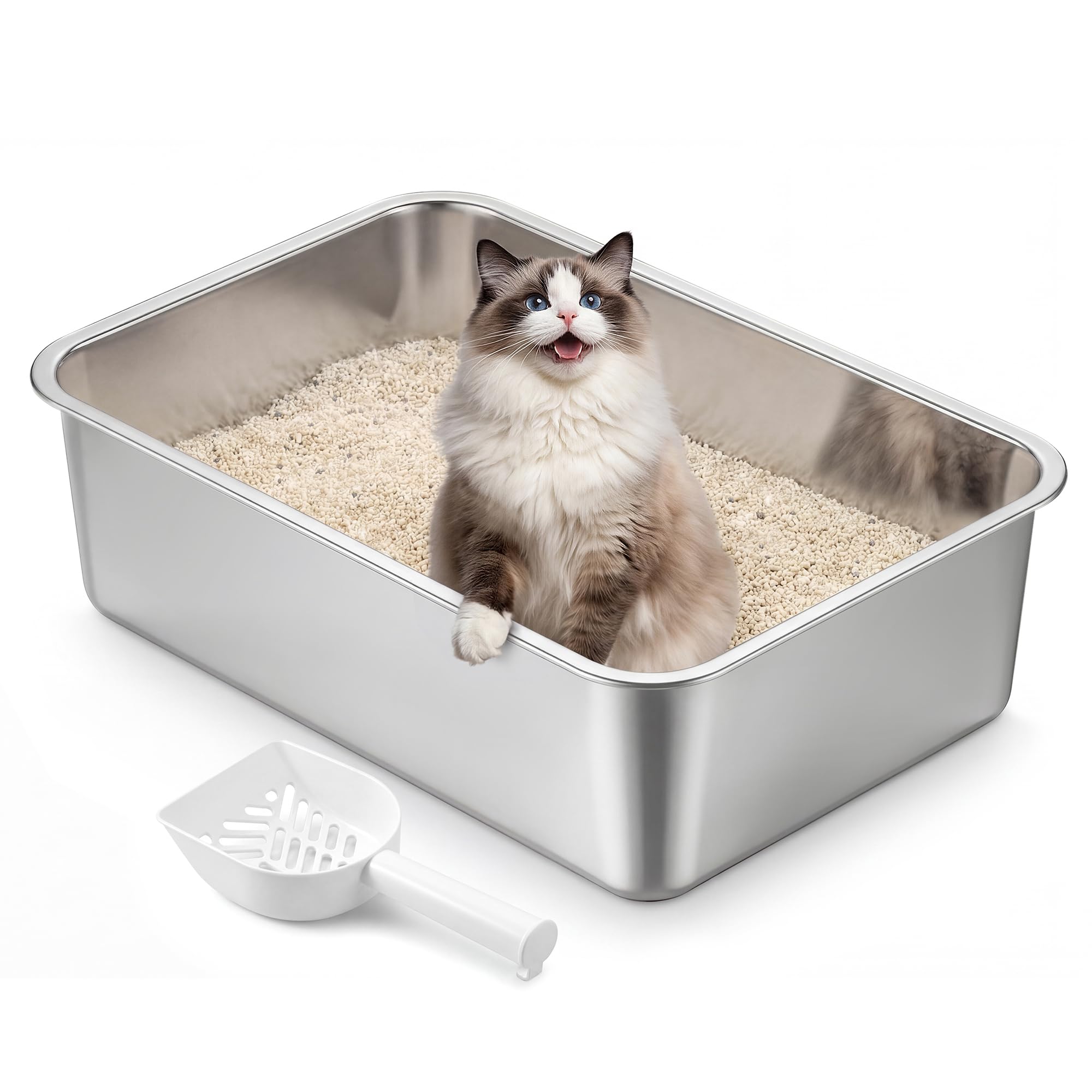 Feandrea Edelstahl Katzenklo, Große Katzentoilette, XXL Katzentoilette Edelstahl Offen, 50 x 35 x 15 cm, PPT016E101 - 2