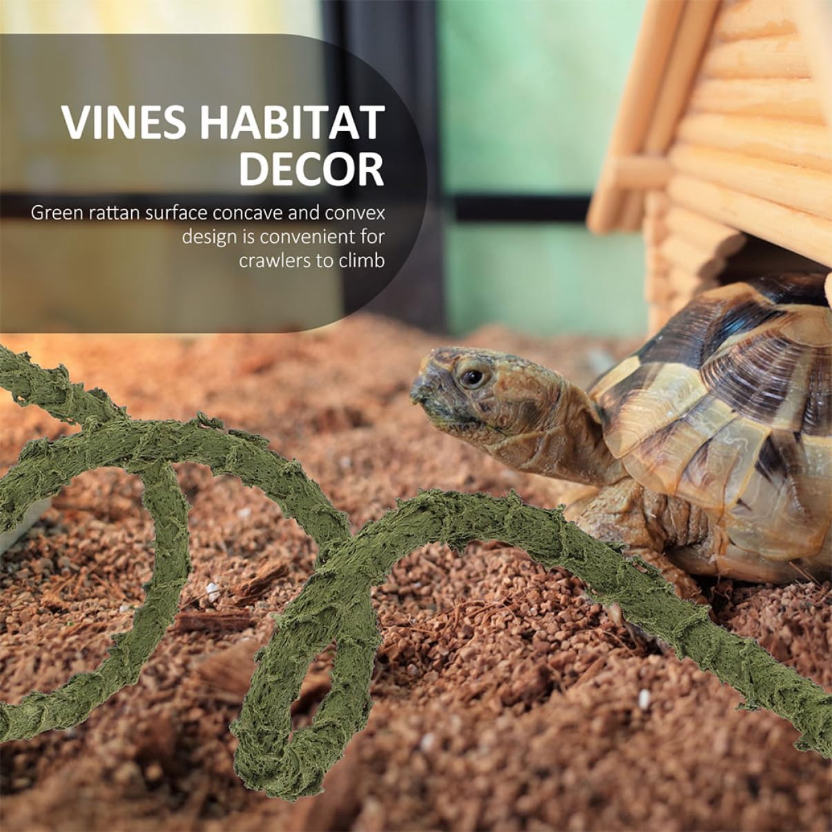 BESPORTBLE 5 Accessori Per Rettili Giocattoli A Forma Di Paguro Decorazioni Per Rettili Rampicanti Artificiali Giocattolo Decorativo A Forma Di Rampicante Per Rettili
