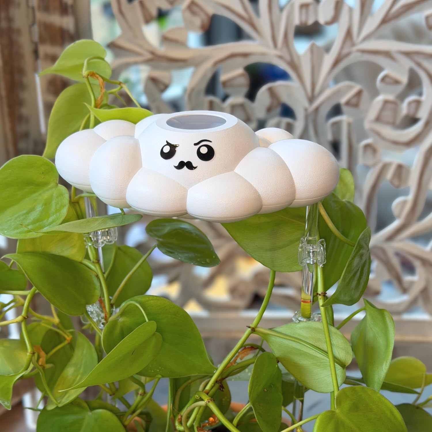 Cute Cloud Pals for houseplants, Plant Watering, Plant Accessory, Plant Lover Gift (Carl)
