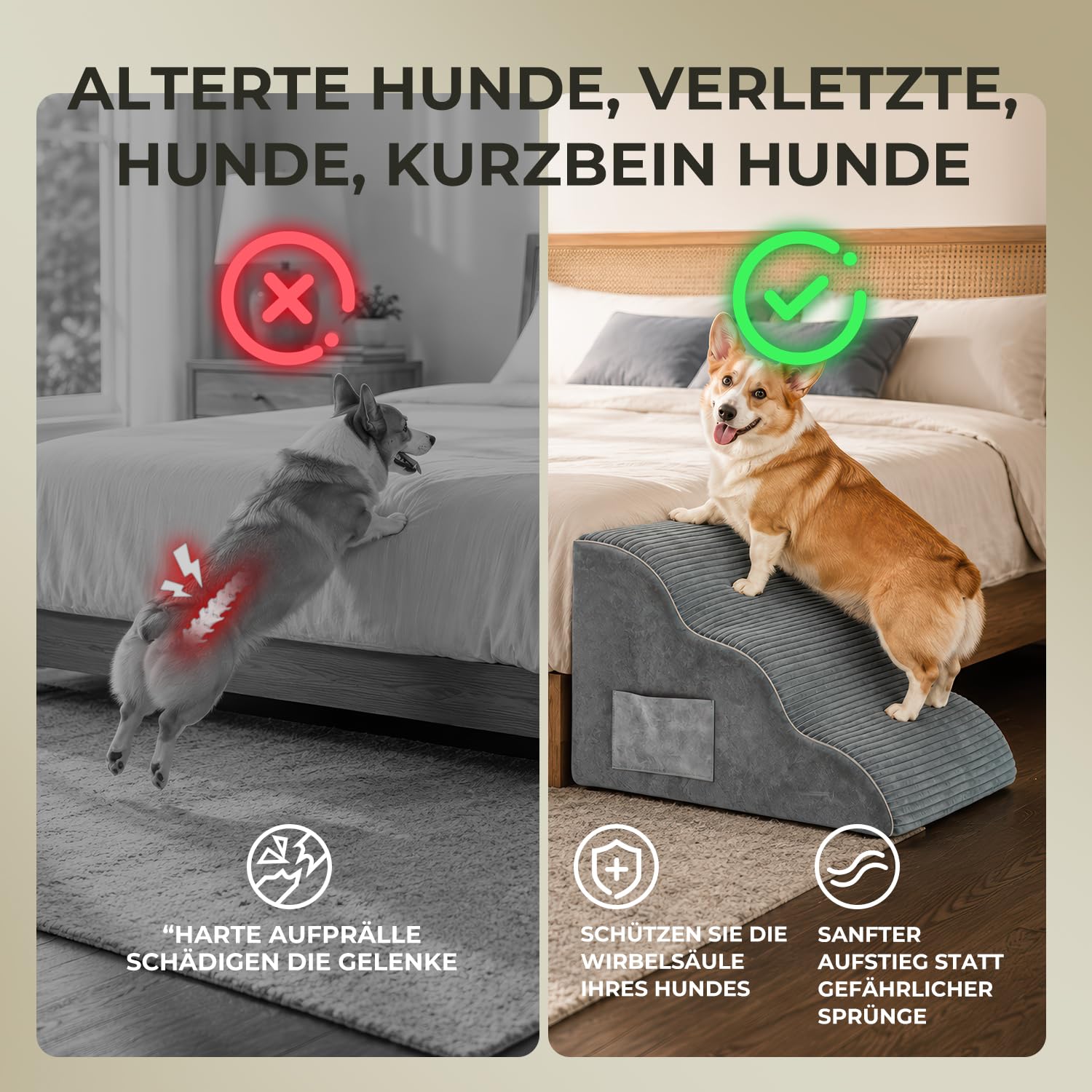 BEST JAJA Hundetreppe 3 Stufen mit Kanteneinfassung – formstabil und rutschfest, 40 cm hoch für Bett und Sofa, mit Seitentasche und Tragegriff – für kleine Hunde, Dackel und Katzen(Grau)