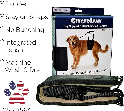 Miniatura 2 de GINGERLEAD Arnés de soporte de cadera para perro ayuda de elevación trasera acolchada que ayuda a las mascotas mayores a caminar K9s a recuperarse