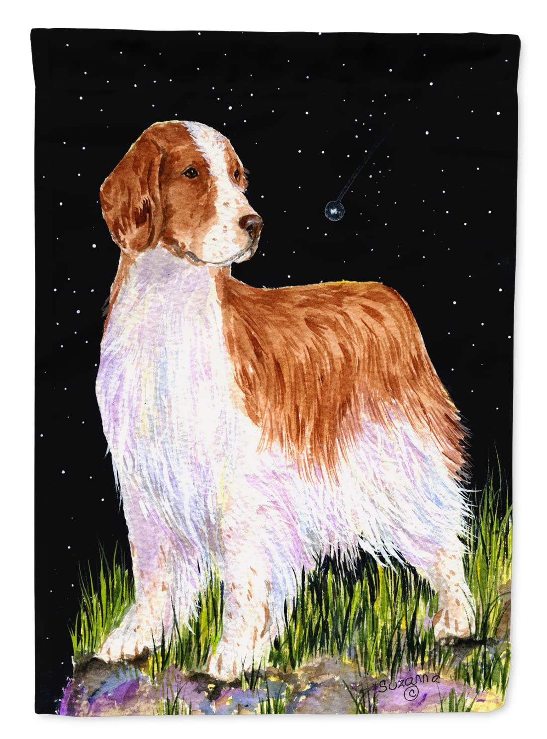 Drapeau de jardin Welsh Springer Spaniel Caroline's Treasures Starry Night pour façade