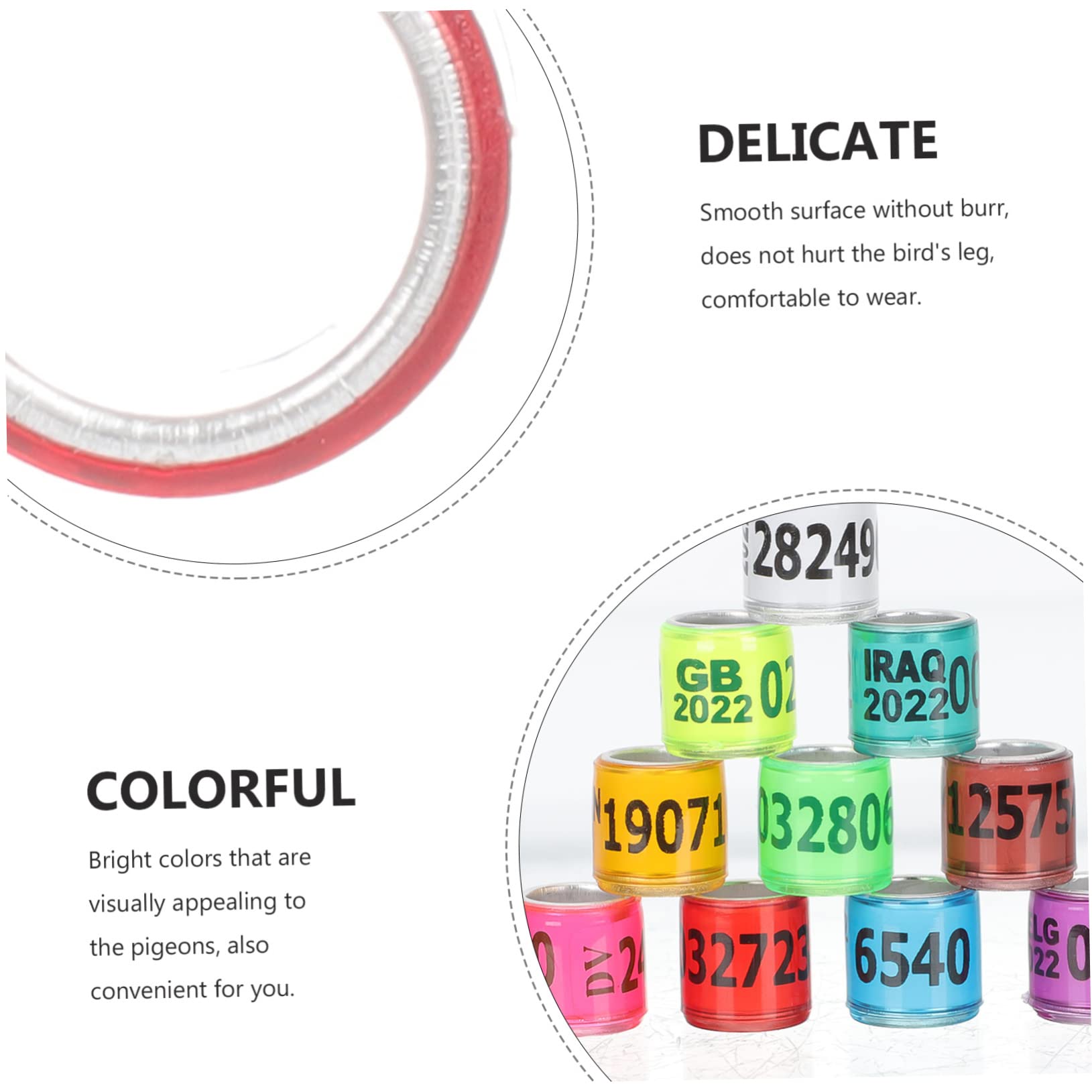 BESPORTBLE 300pezzi Anelli Identificativi per Piccioni Alluminio Colorati per Addestramento e Monitoraggio Volatili Resistente e Riutilizzabile