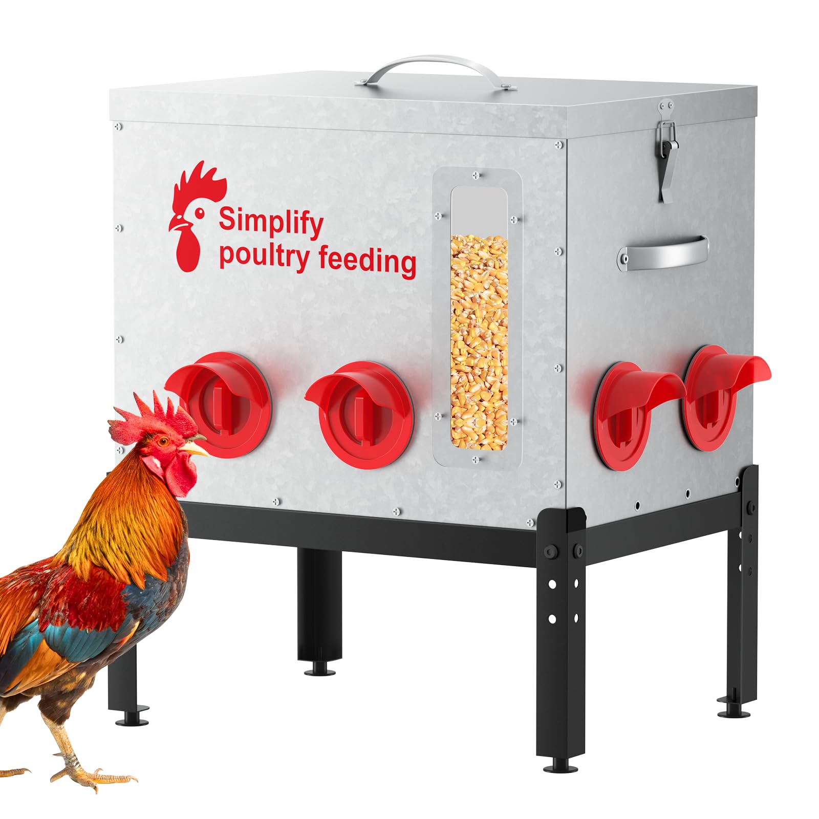 Mangeoire automatique à poulet anti-gaspillage pour protéger le grain des rats