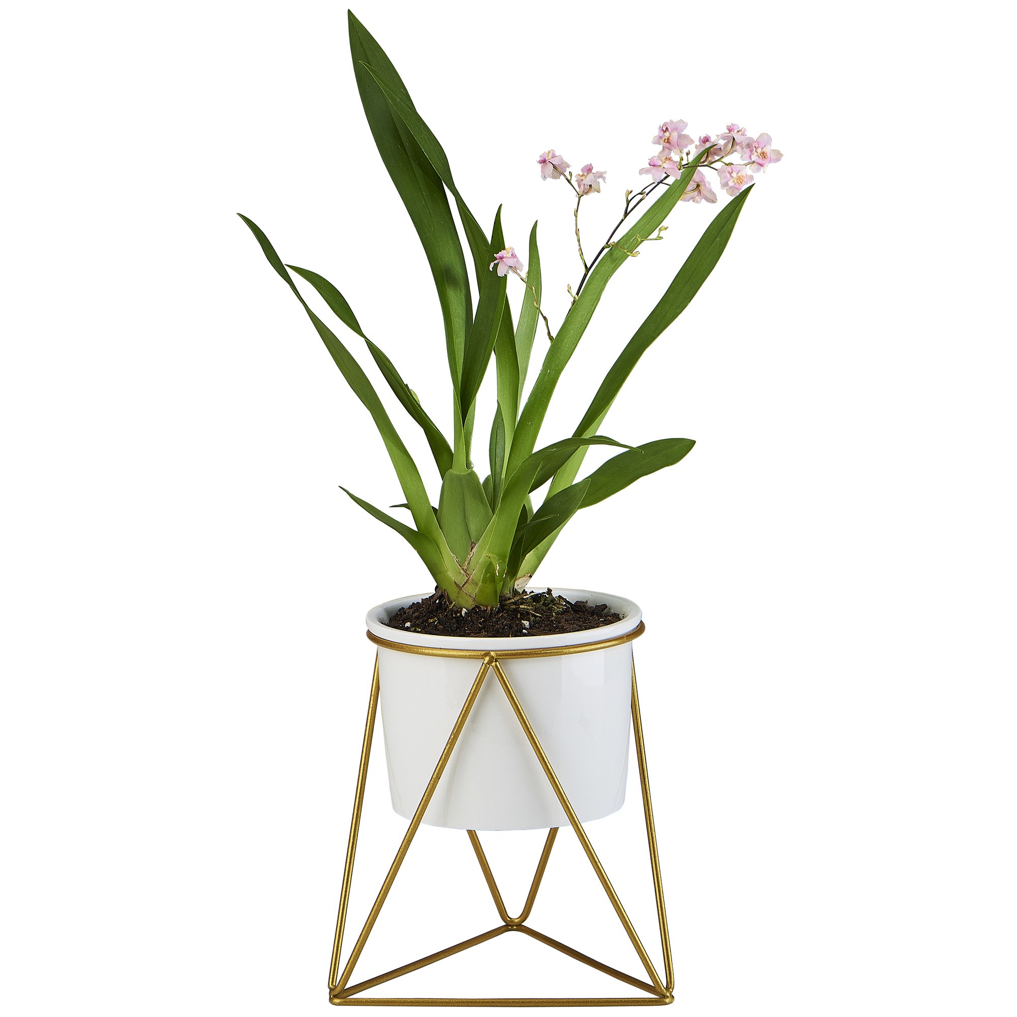 Gold Vases Plant Decor For You