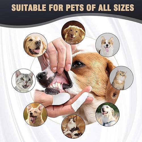 Miniatura 5 de Limpiador dental ultrasónico para perros, removedor de placa, dientes de perro, raspador dental, kit de limpieza para mascotas, cepillos de dientes