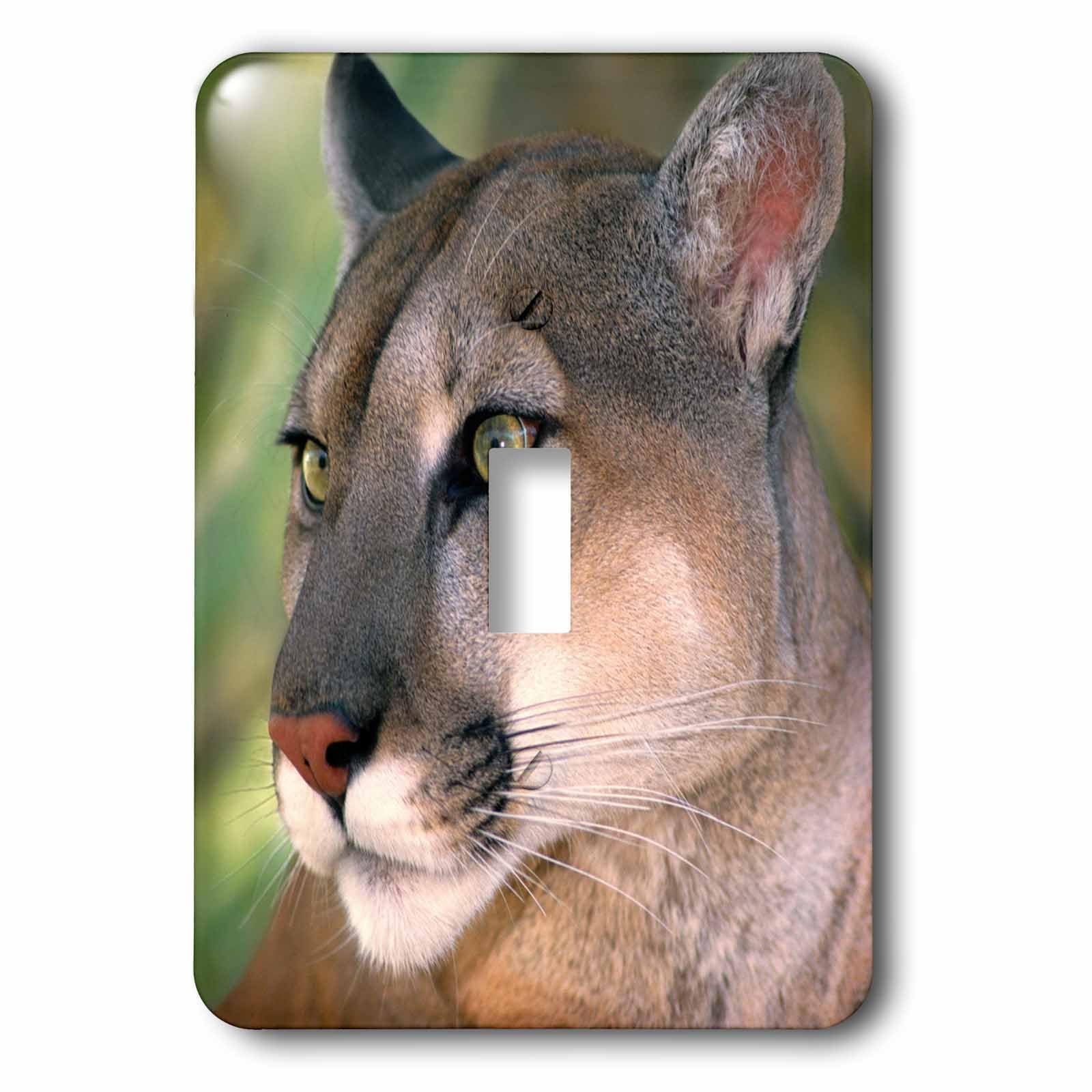 Interrupteur simple Mountain Lion de Californie, décoration faune sauvage par 3dRose