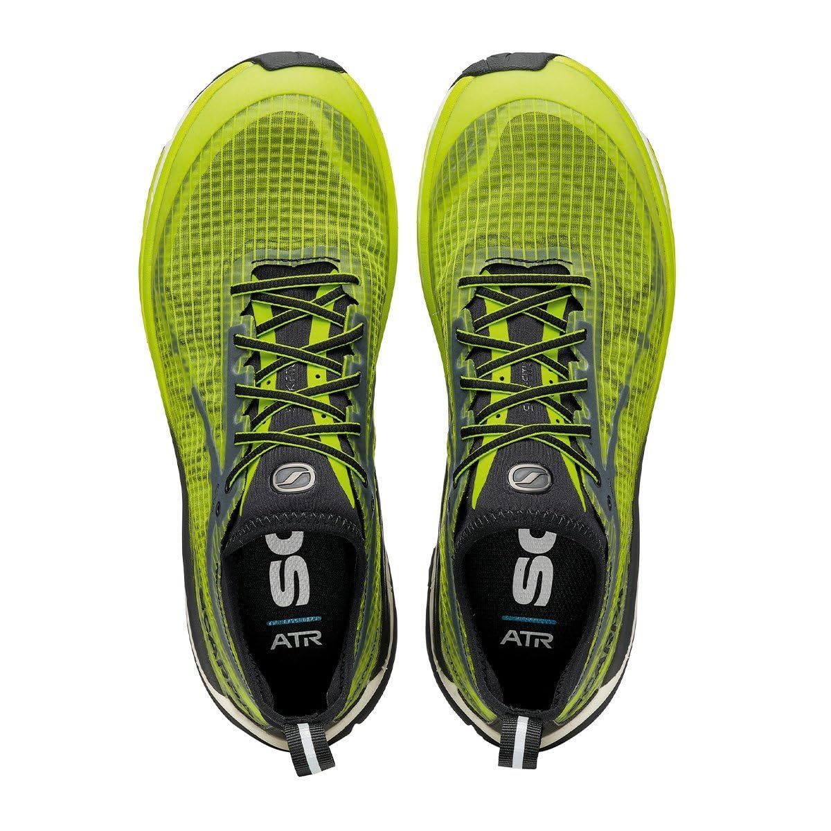 Scarpa Mojito, Trail Running Hombre, Shark BM Spider