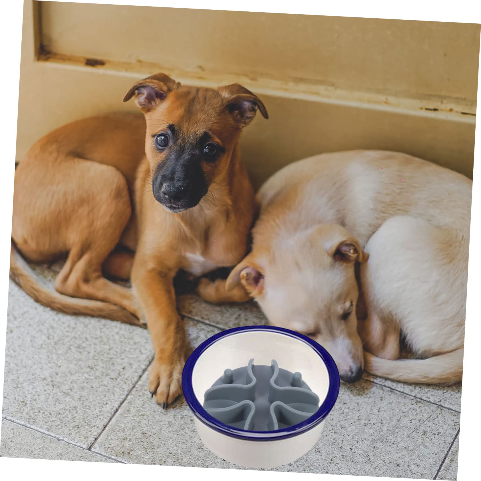POPETPOP 4stücke Dog Pad Langsame Fütterungsmatte Für Hunde Und Katzen rutschfeste Futterunterlage Mit Saugnäpfen Fördert Langsames Und Bessere Verdauung Leicht Zu Reinigen