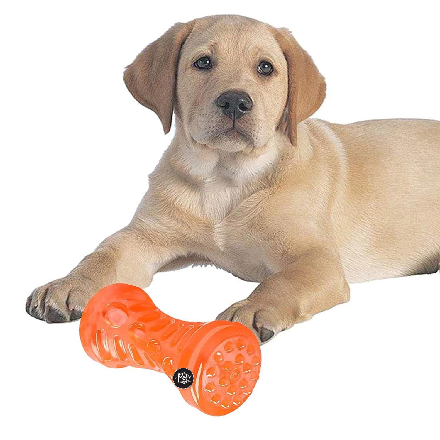 The Pets Company Squeaky TPR Dumbell Toy for Dogs | Dog Toy for All Dogs| Squeaky Toy (B0BTHFHL3D) Amazon Price History, Amazon Price Tracker