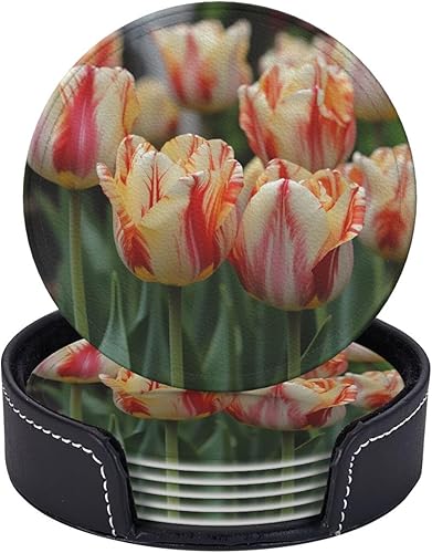 Miniatura 13 de 6 posavasos redondos de cuero con soporte retro para cámara, para bebidas, taza de café, resistente al calor, para protección de mesa, accesorios de