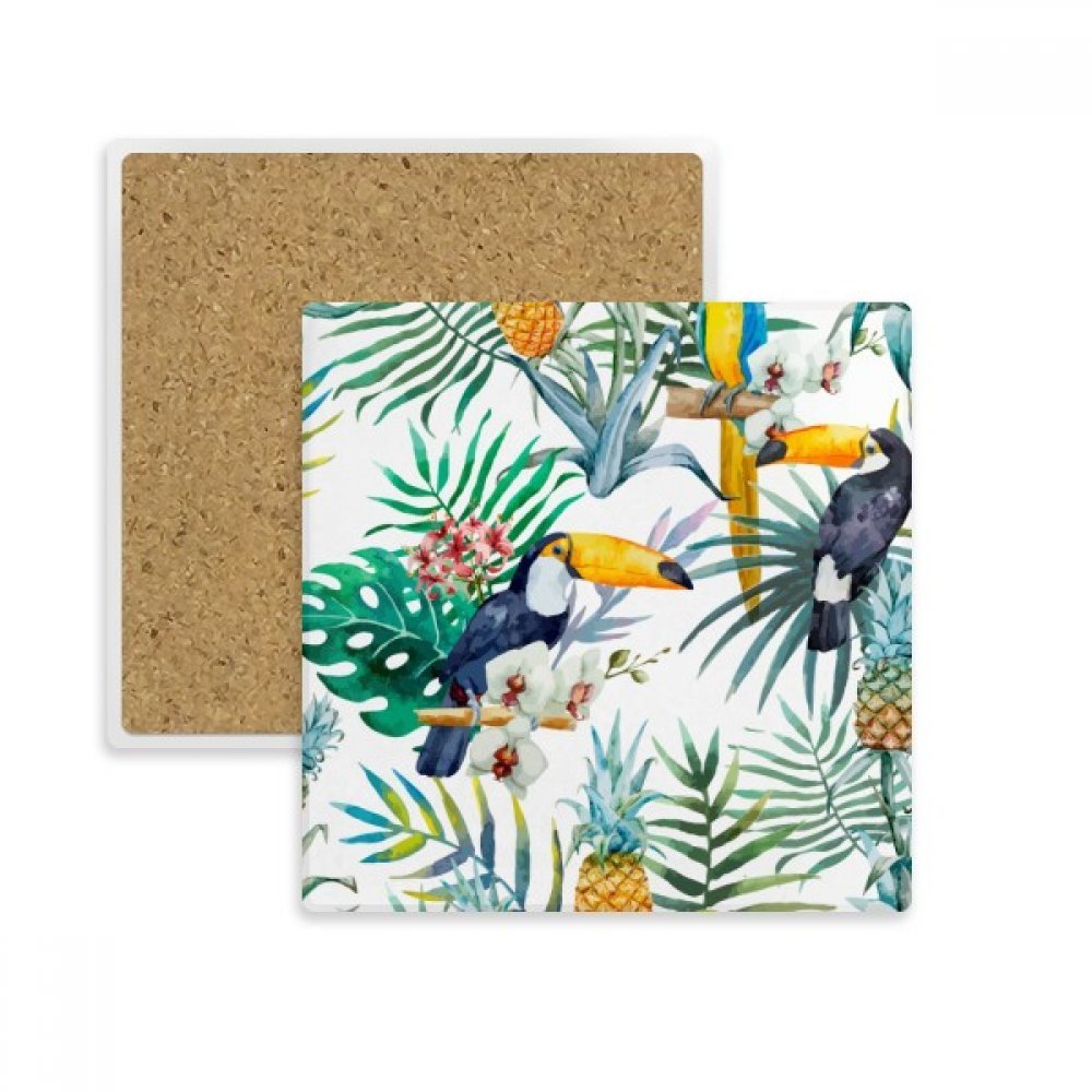 Dessous de verre pierre absorbante toucan contre les taches de verre