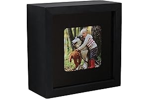 Home Security Camera Disguise