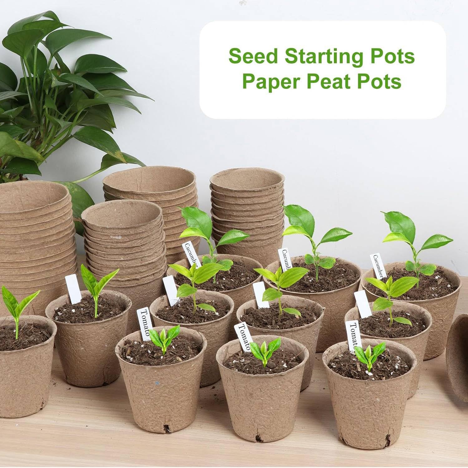 Lot de 130 pots de tourbe organique, pot de pépinière de 3,15 pouces, pots ronds pour semis de plantes avec trous de drainage, initiateur de graines
