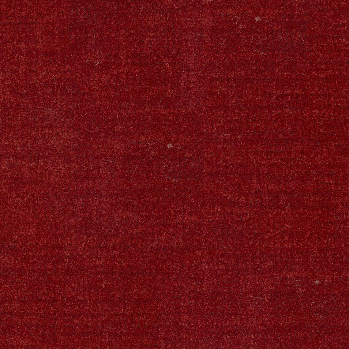 Liz Jordan Hill Luxury Cuddle Soft Coal Stain Resistant Chenille Upholstery Fabric by the Yard, Aquaclean Material for Chairs, Sofa, Auto, Boat- AC Veneto 93 Coal - 1 Yard