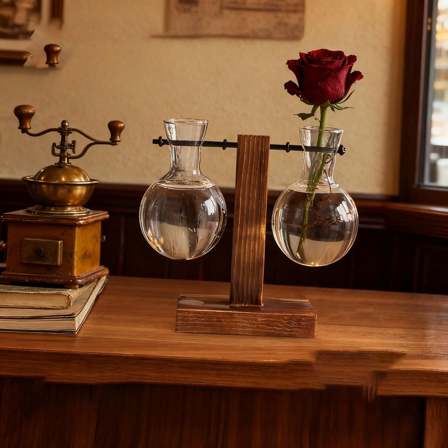 Glass Hydroponic Planter Set Modern Hanging Vase for Home, Office, Terrariums, and Fresh/Artificial Plant Decor