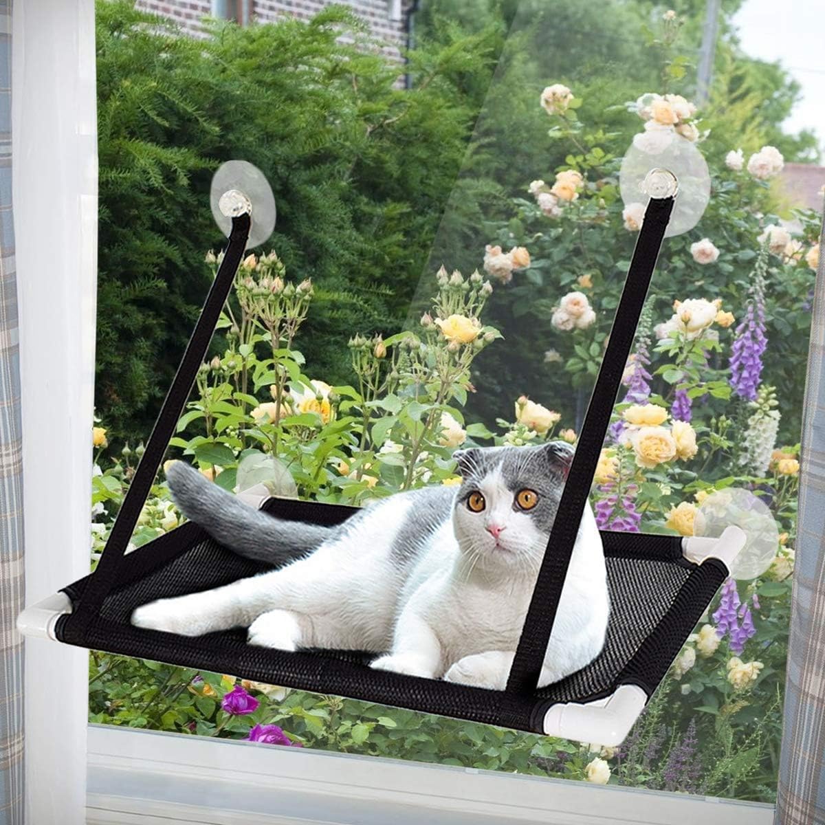 Katzen Fensterliege für Katzen,Katzenbett Fensterbank Doppelte Hängematte Fenster mit 6 stabilen Saugnäpfen, Katzenfensterbett Hängend Saugnäpfen bis 10KG