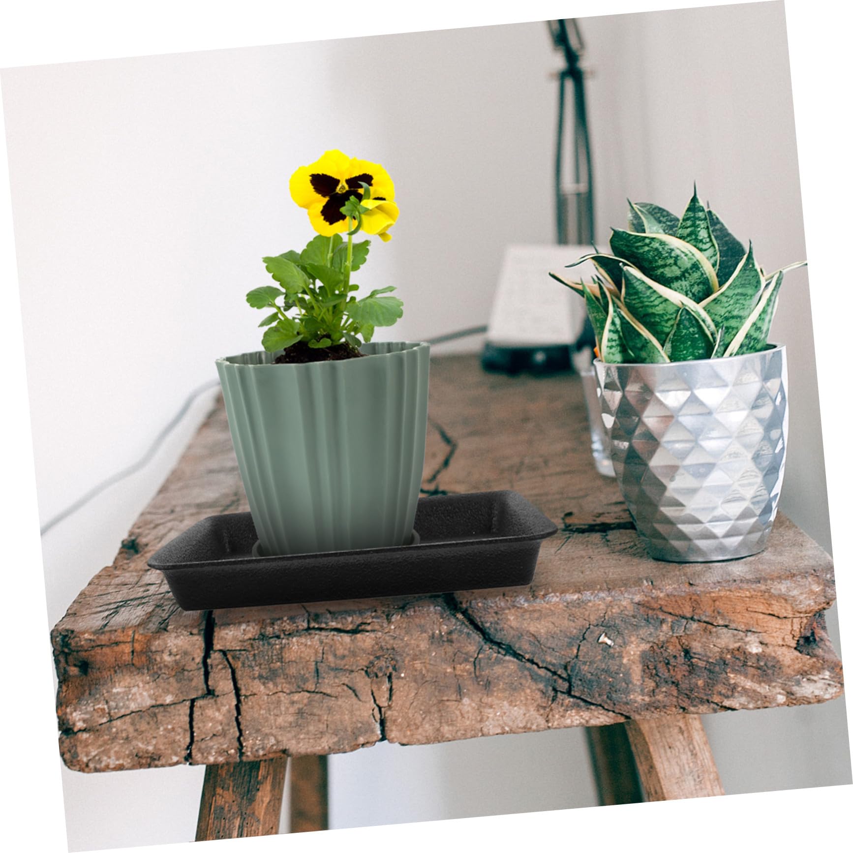 Platillos Rectangulares Negro de Plástico para Macetas 6 Piezas | Bandeja para Plantas de Mesa, Uso Exterior y Jardín, Evita Fugas, Protege Suelos y Muebles