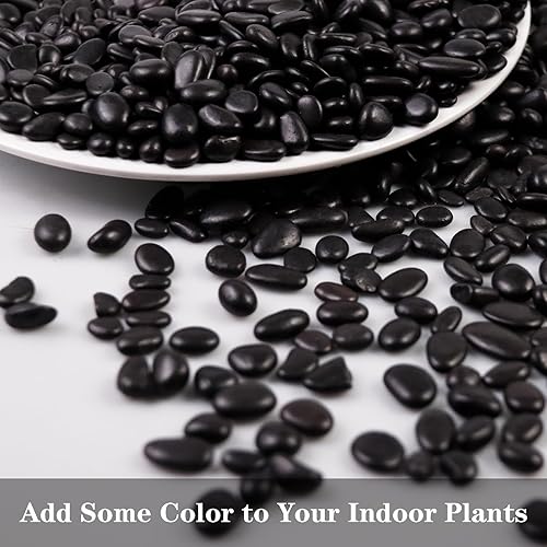 Miniatura 7 de Rocas de río de 5 libras, grava pulida para plantas, guijarros decorativos de jardín, ideales para peceras, jarrones, suculentas, manualidades,