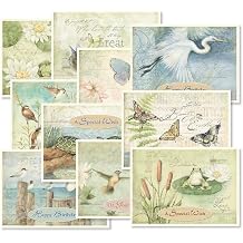 Current Natures Sanctuary Happy Birthday Greeting Card Set - Value Pack of 20 Cards With White Envelopes, 10 Designs, Large 5" x 7" Assortment