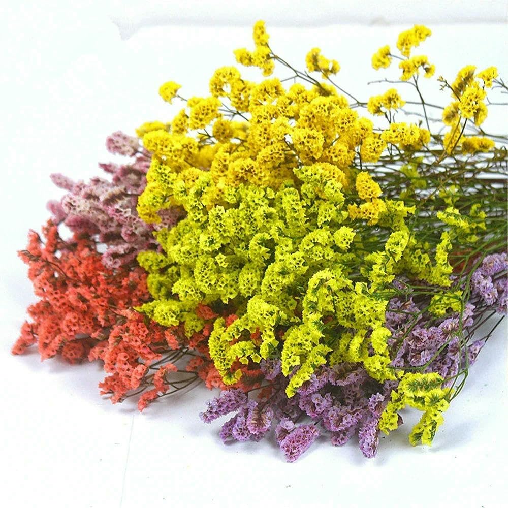 40-50 cm Herbe Cristal Naturelle séchée, véritable Fleur « Amour éternel » pour Les compositions de Mariage