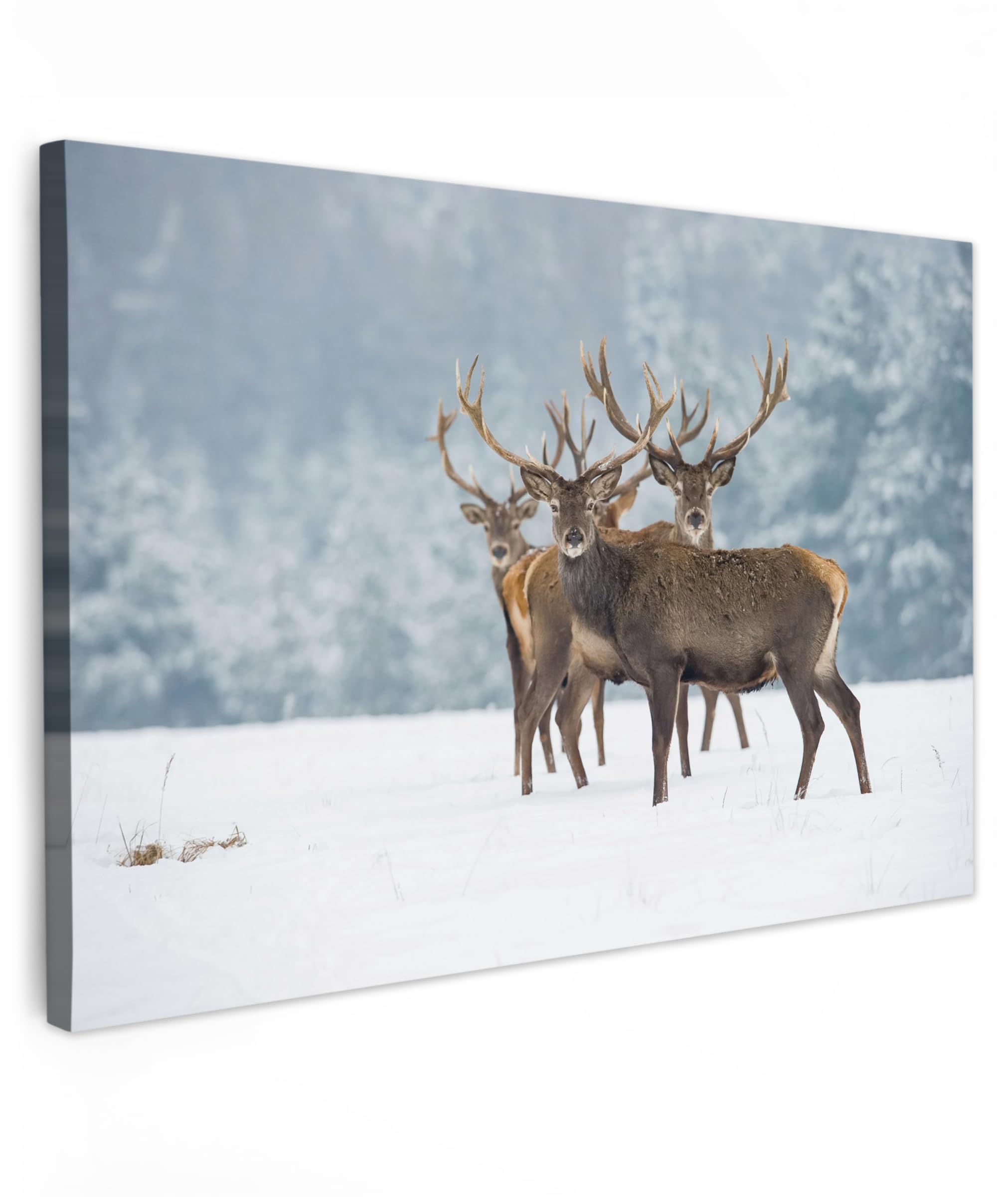 MuchoWow© Canvas Wall Art 24"x16" / 60x40 cm Decor Paintings Print framed on Canvas Pictures for Hallway Deer - Animals - Snow - Winter - Landscape - Nature — image 1