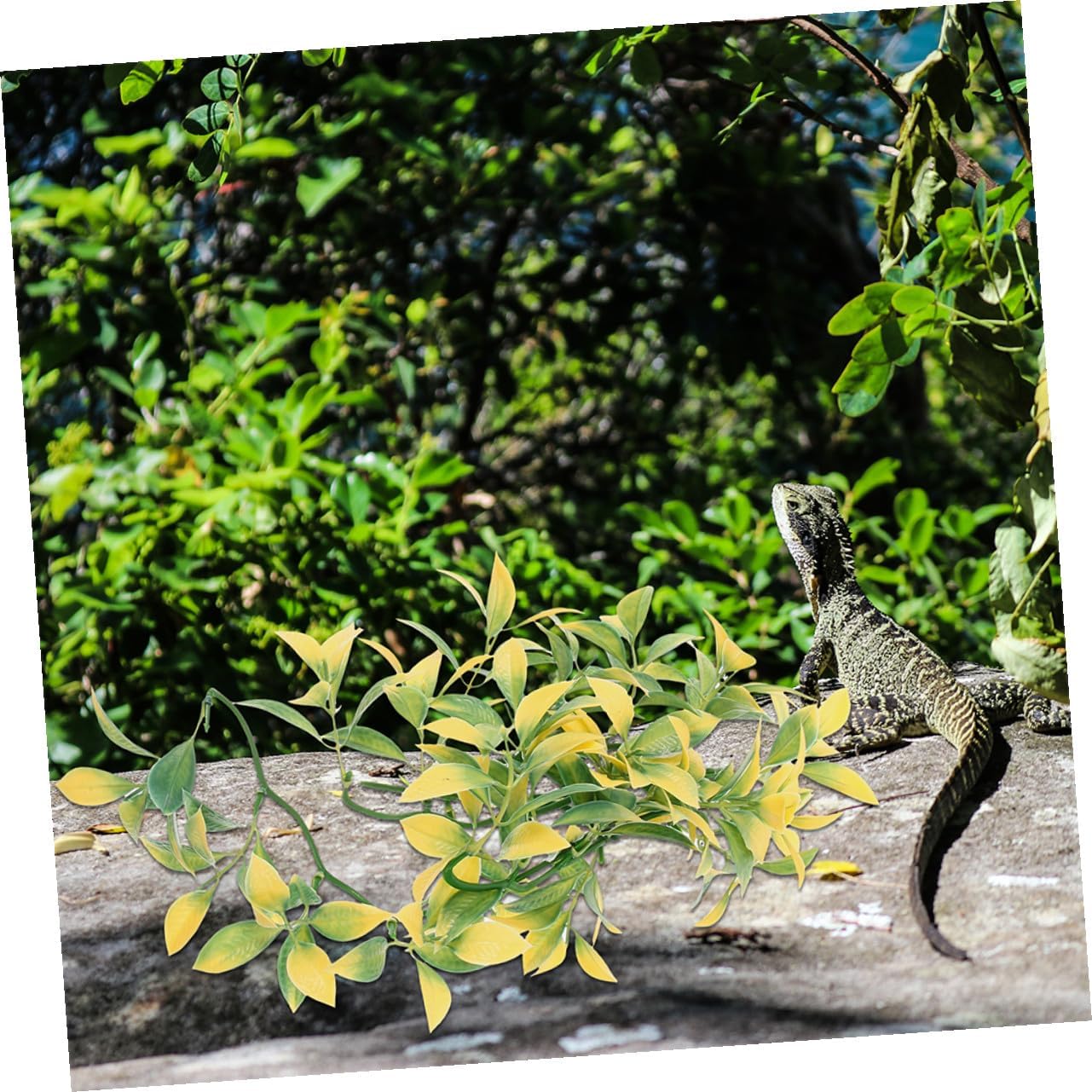 Hemoton 6pcs Reptile Climbing Plants Artificial Vines for Terrarium, Plastic Hanging Greenery for Snake and Lizard Tank Decoration, Reptile Habitat Landscaping Accessories