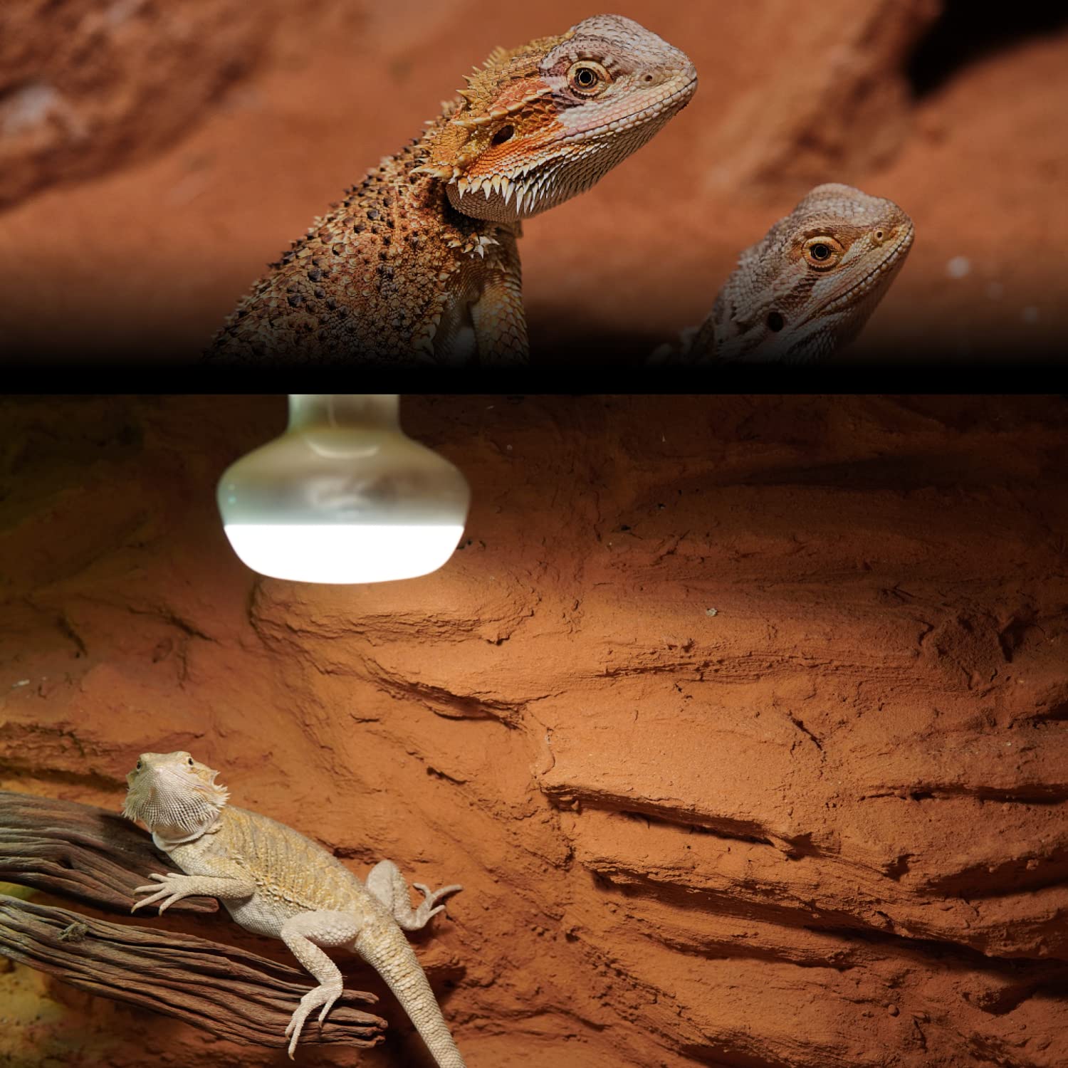 Heat Lamp Bulbs MCLANZOO Pack 100W Reptile Heat Lamp Bulb