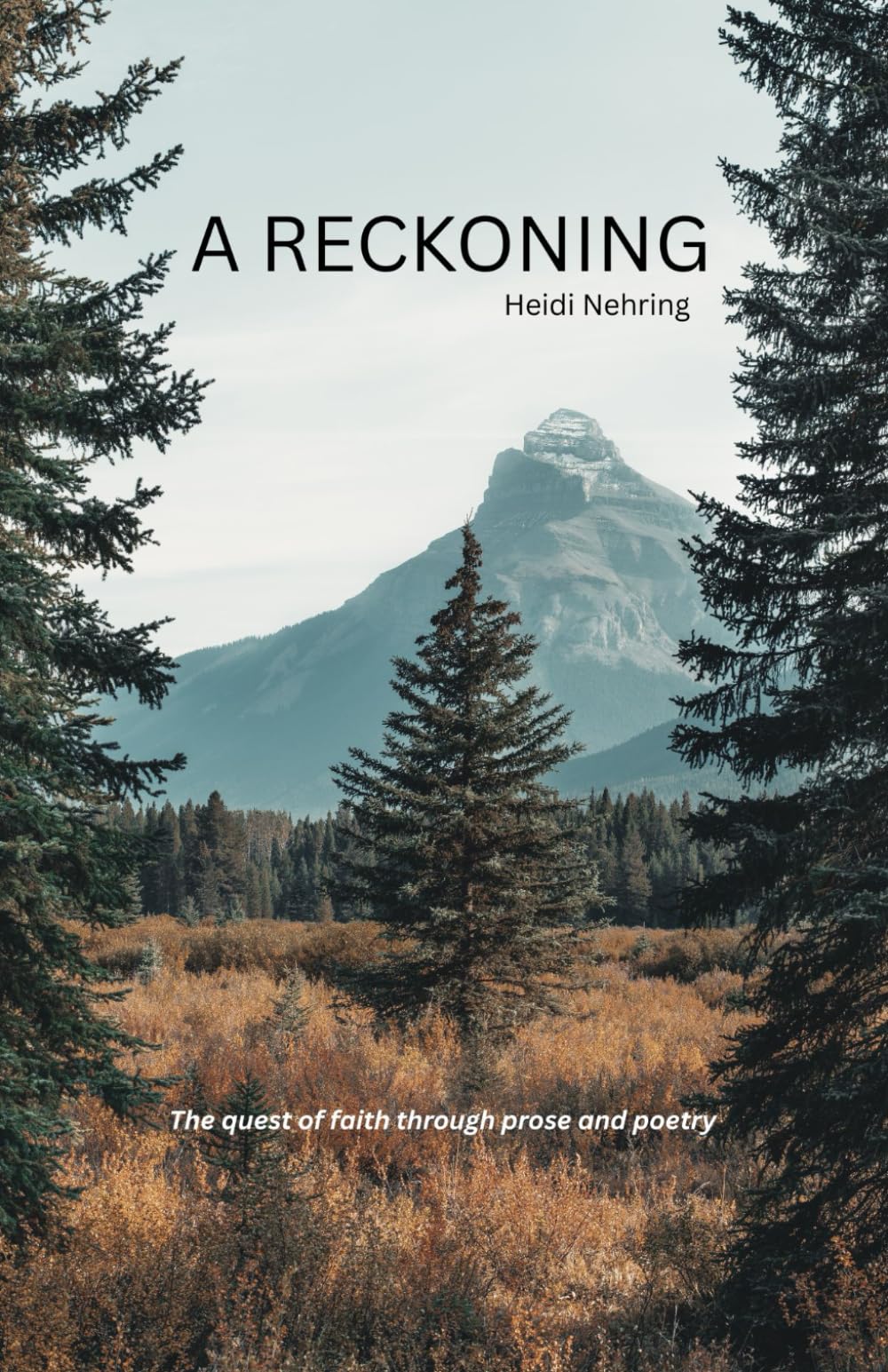 A Reckoning: The quest of faith through prose and poetry