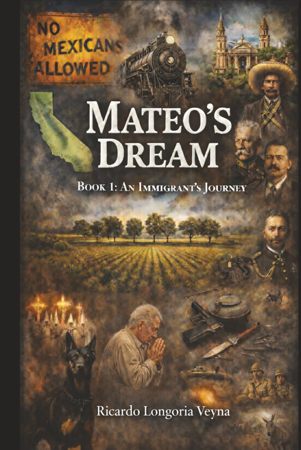 Mateo's Dream: An Immigrant's Journey