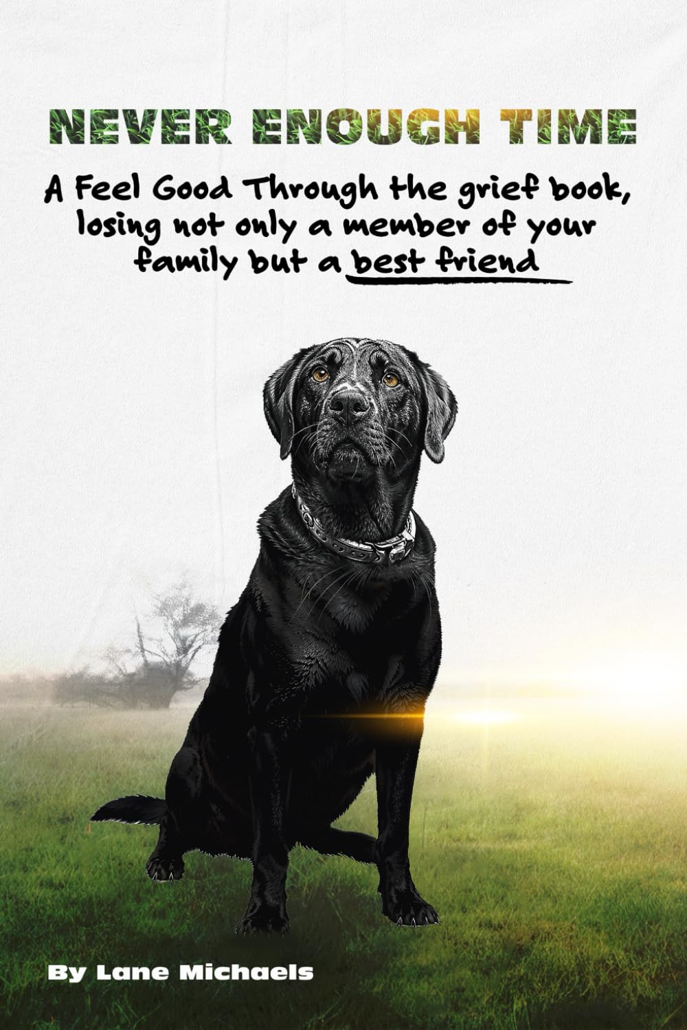 Never Enough Time: A Feel Good Through the Grief Book, Losing not only a member of your family but a best friend