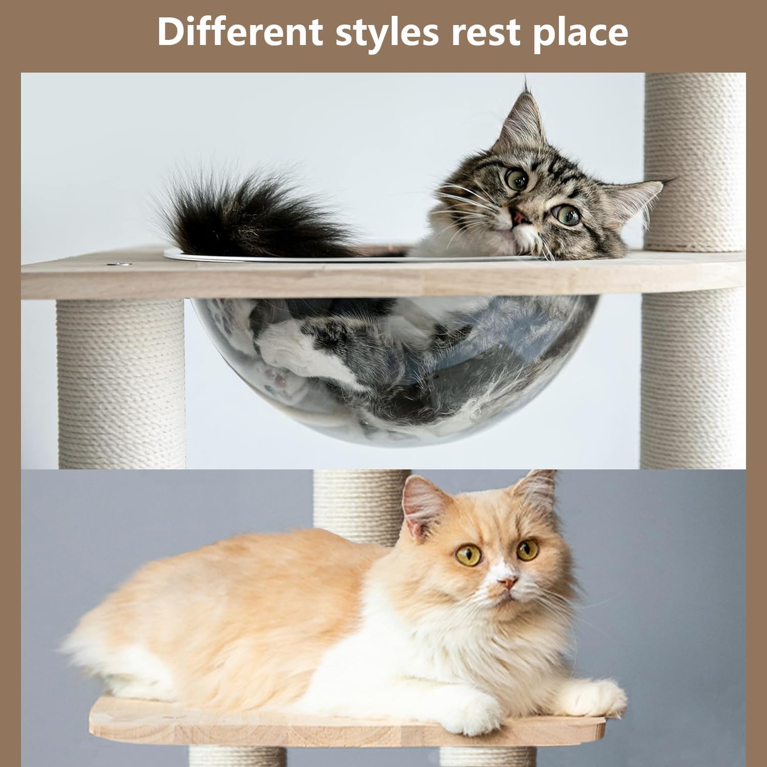 Solid Wood 65" Cat Tree Modern, Multi-Level Cat Tower for Indoor Cats, Sturdy Cat Tower with Hammock, Cozy Condo, Scratching Posts & Ladder