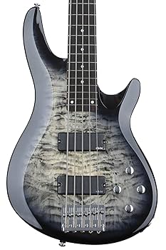 schecter c-5 custom ジャンク扱い　自作ピックガード 5弦 schecter c-5 custom ジャンク扱い 自作ピックガード 5弦 Amazon
