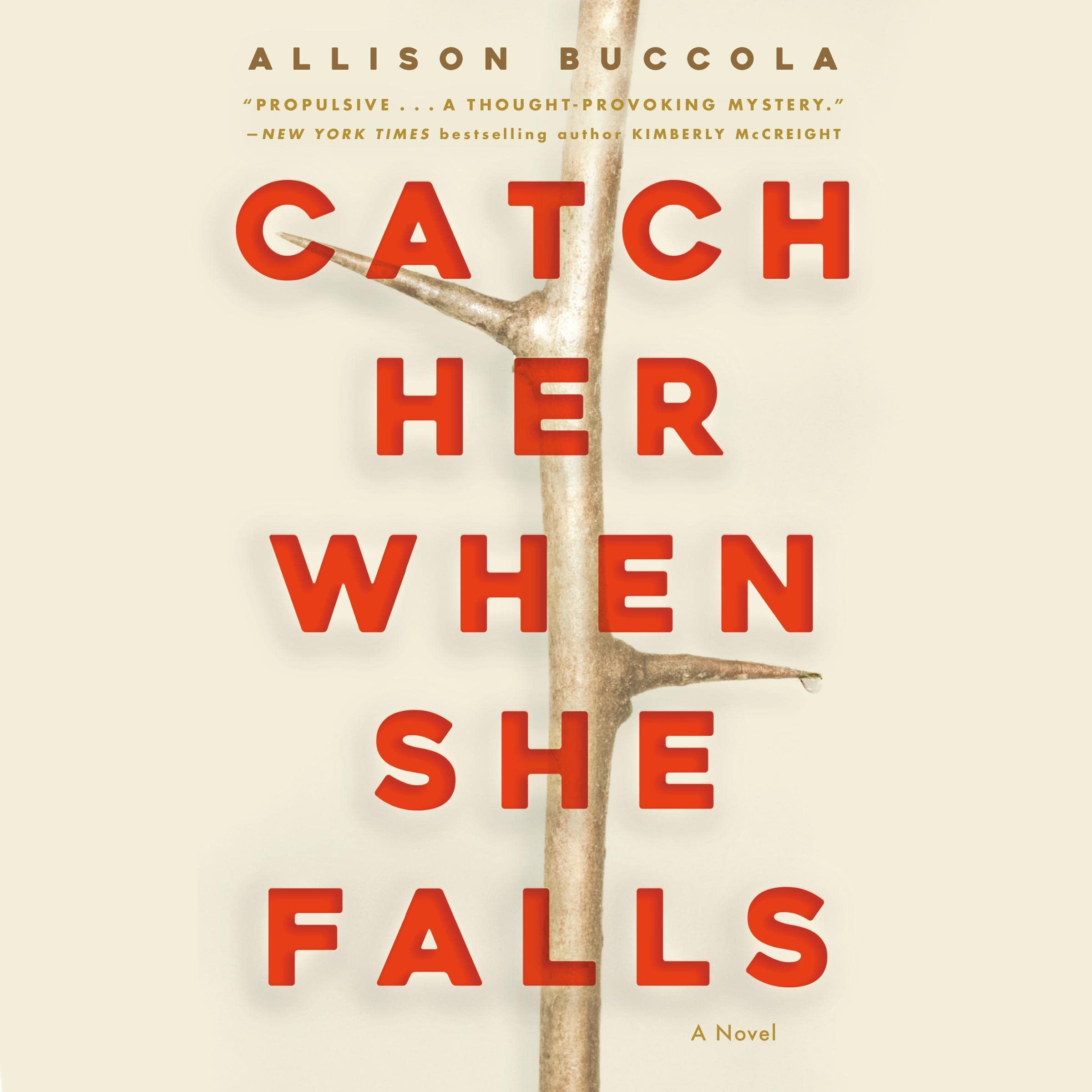Cover art for Catch Her When She Falls