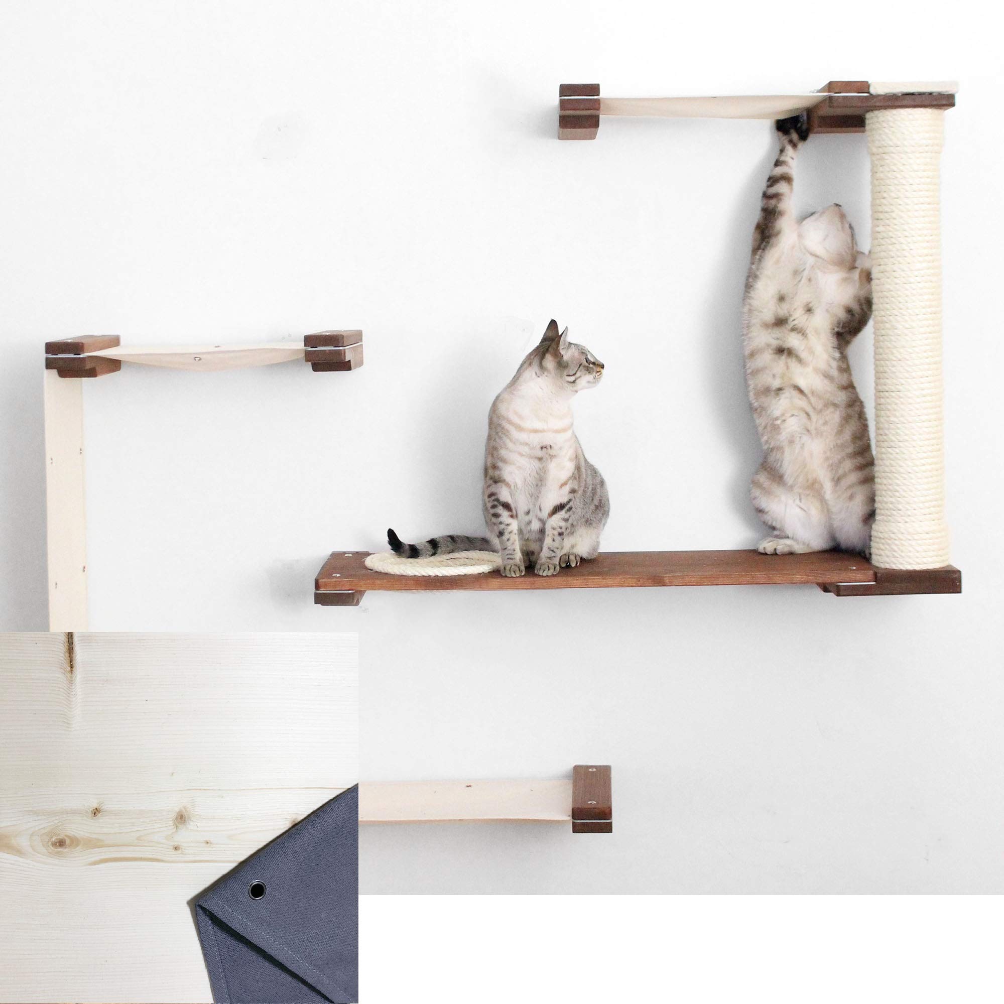 CatastrophiCreations Dakota Set for Cats Multiple-Level Wall Mounted Scratch, Hammock Lounge, Play & Climbing Activity Center Furniture Cat Tree Shelves, Natural/Charcoal Gray