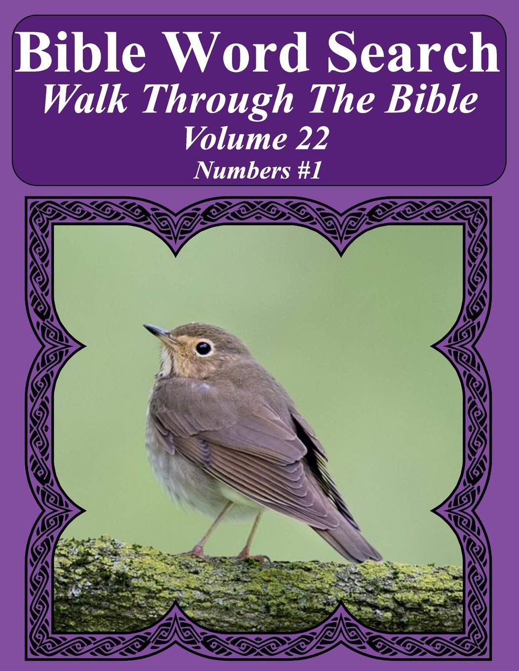 Buy bible word search walk through the bible volume 22 numbers 1
