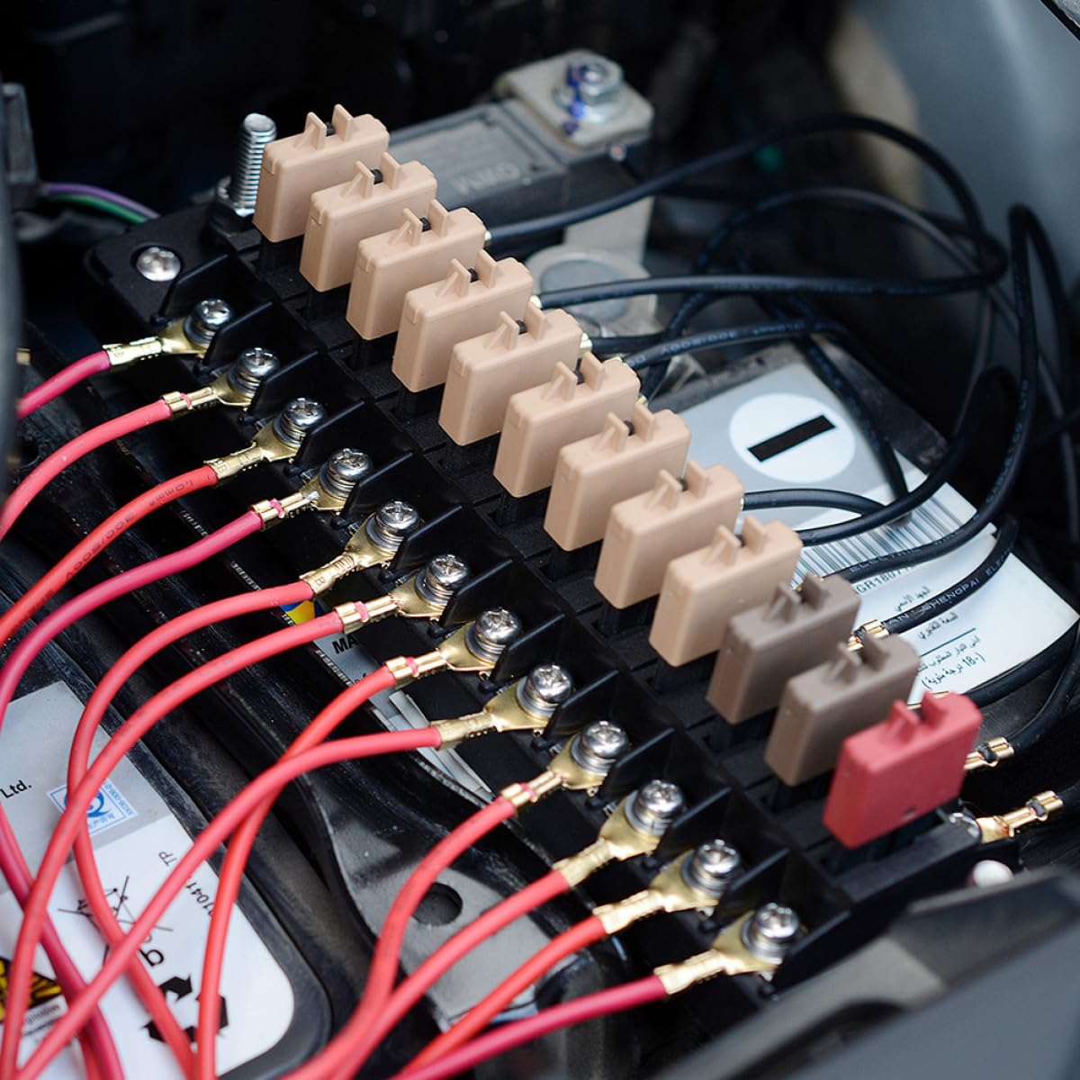 Scatola Portafusibili Auto 12 Vie 32v 75a con Fusibili | Pa66 PC Rame Inox Pp, 20a per Circuito 12-16awg, Sticker e Doppie Unità