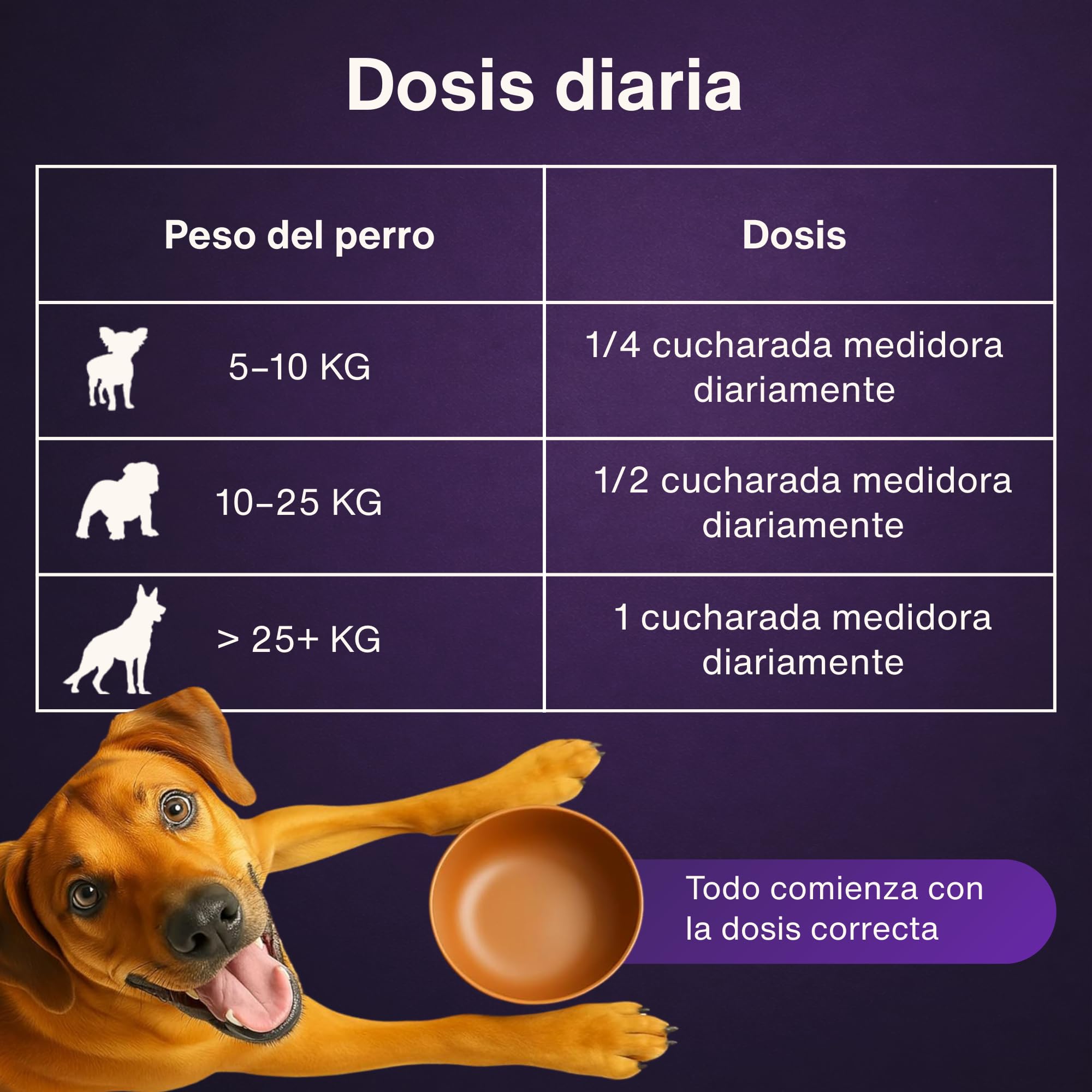 Dr. Flex colágeno para Perros 300 g - colágeno hidrolizado Tipo I II III bovino y Marino en Polvo para articulaciones Perro y Movilidad Complejo vitaminas Grupo B Perros Apoyo digestión Perro