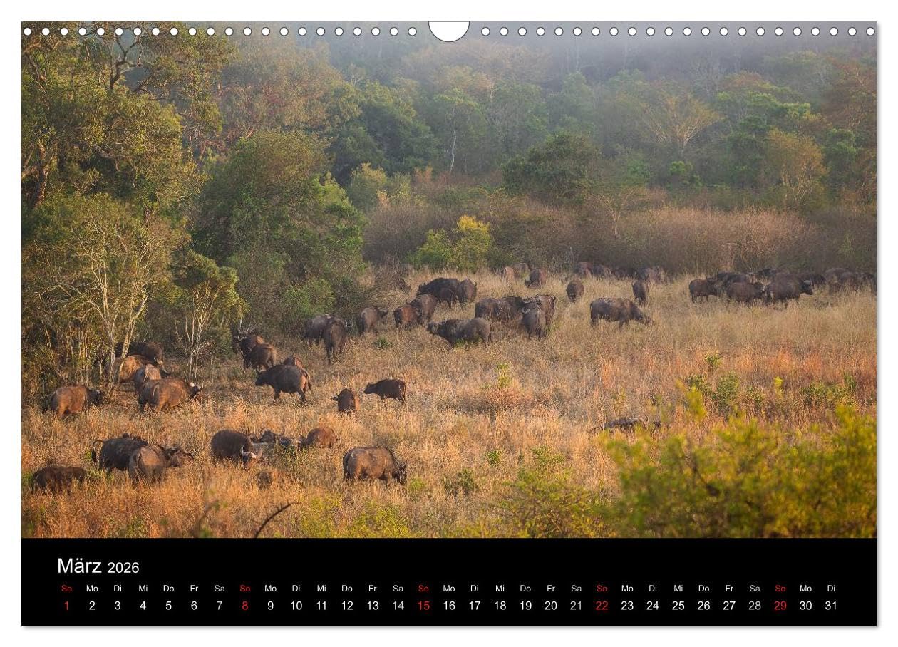 Wunderschönes Südafrika (Wandkalender 2026 DIN A3 quer), CALVENDO Monatskalender: Stimmungsvolle Aufnahmen aus dem wunderschönen Südafrika (CALVENDO Natur)