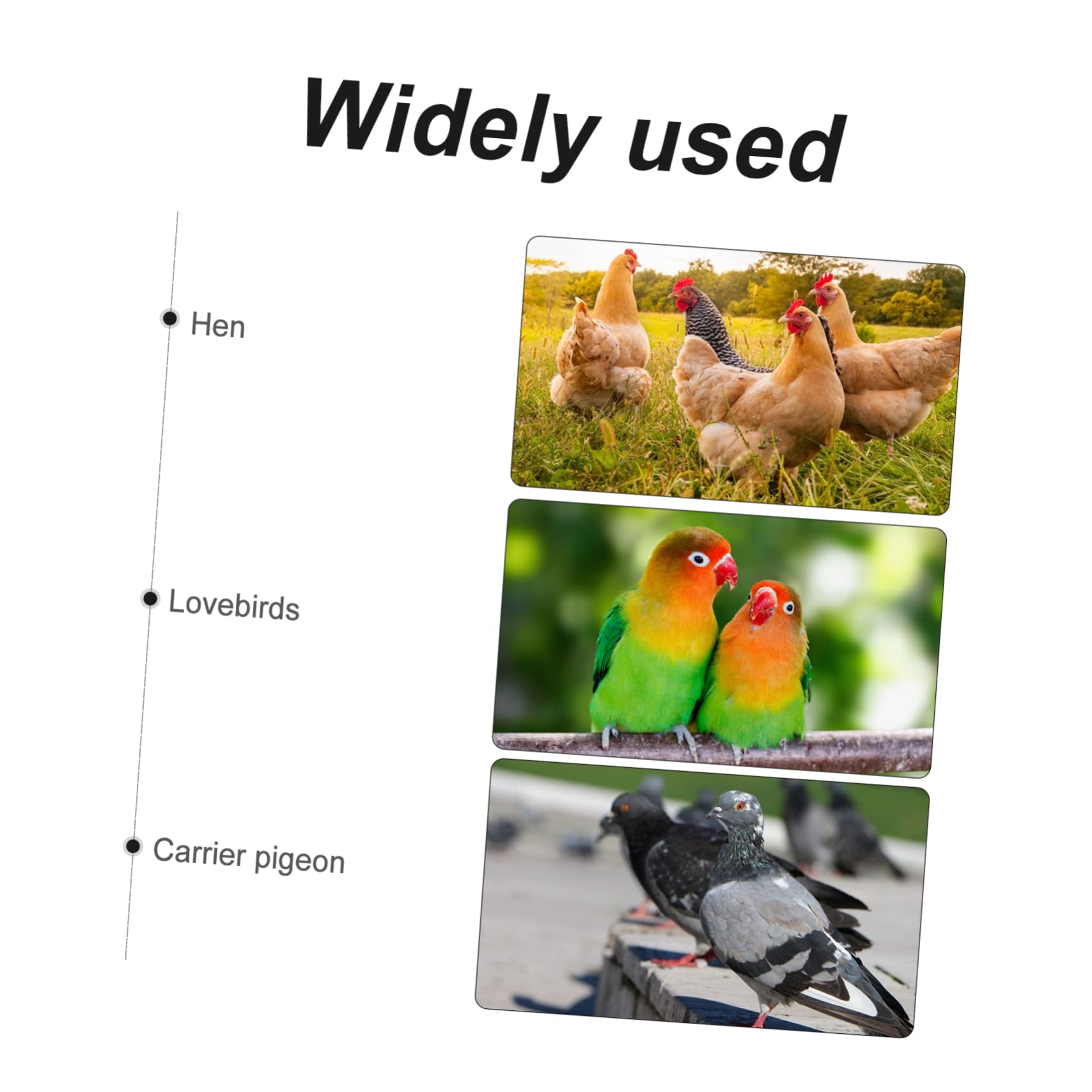 Mipcase Juguetes para Gallineros Percha para Pollos de Madera Escalera de Juguete para Aves de Corral Soporte para Gallinas