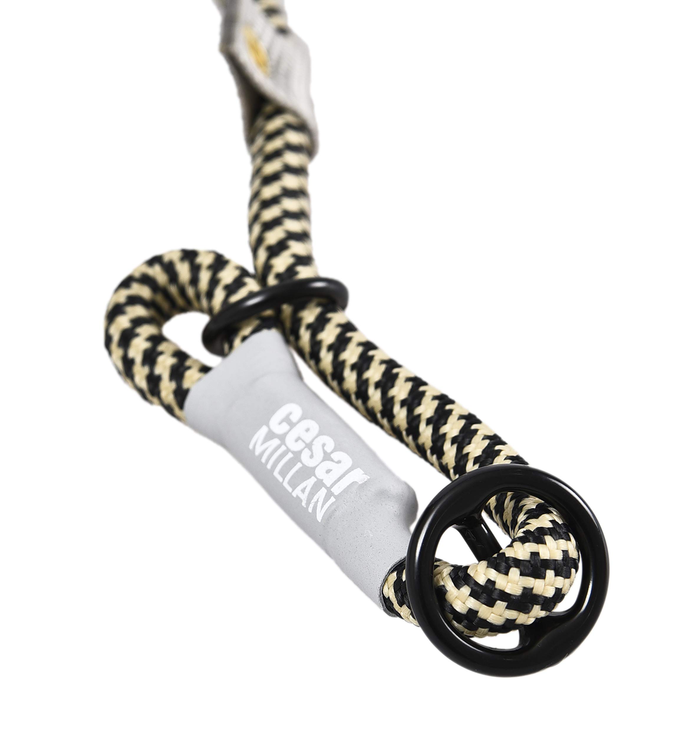 Cesar Millan Slip Lead Leash™ - Laisse de Dressage à Collier Coulissant pour Un Meilleur contrôle et la possibilité de Faire des Corrections Rapides et Douces (Régulier, Nior/Tan)