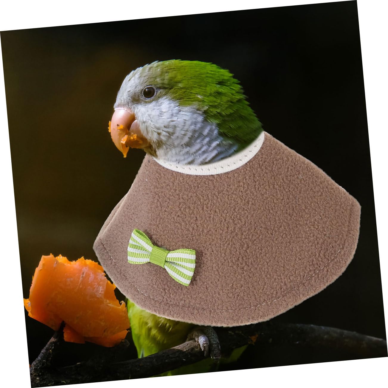 Levemolo Parrot Collar Bird Elizabethan Recovery Bird Cone Soft Breathable Injury