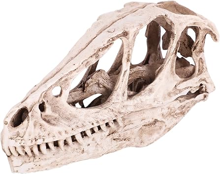 Watris Veiyi Dinosaur Skull Sculpture, Resin Material, Lifelike Decor for Home, Office, Aquarium, Gift for Dinosaur Lovers