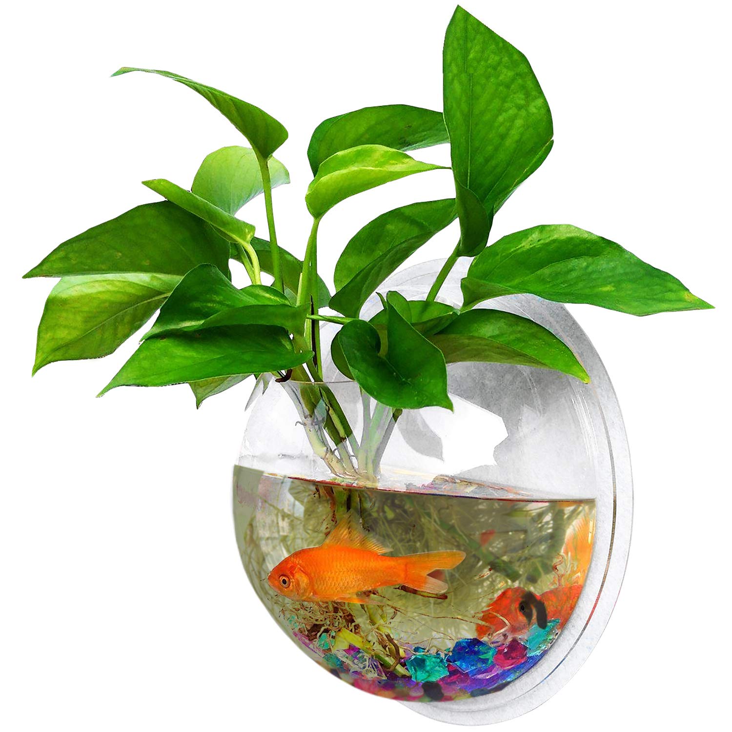 Outgeek Wall Fish Bubble Wall Hanging Bowl Clear Acrylic Vase Flower Plant Pot Aquarium 9in (0.5-Gallon)