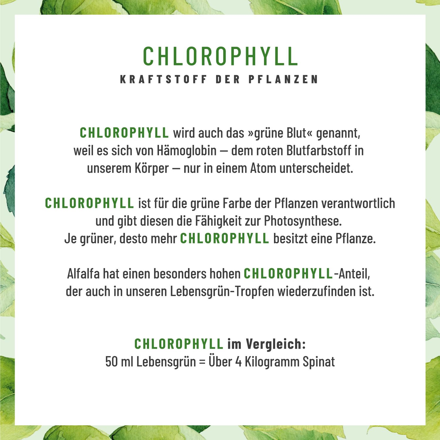 Lebensgrün Chlorophyll flüssig aus Alfalfa - 50ml - 200mg liquid Chlorophyll je Tagesdosis - Tropfen als Alternative zu Tabletten, Vegan