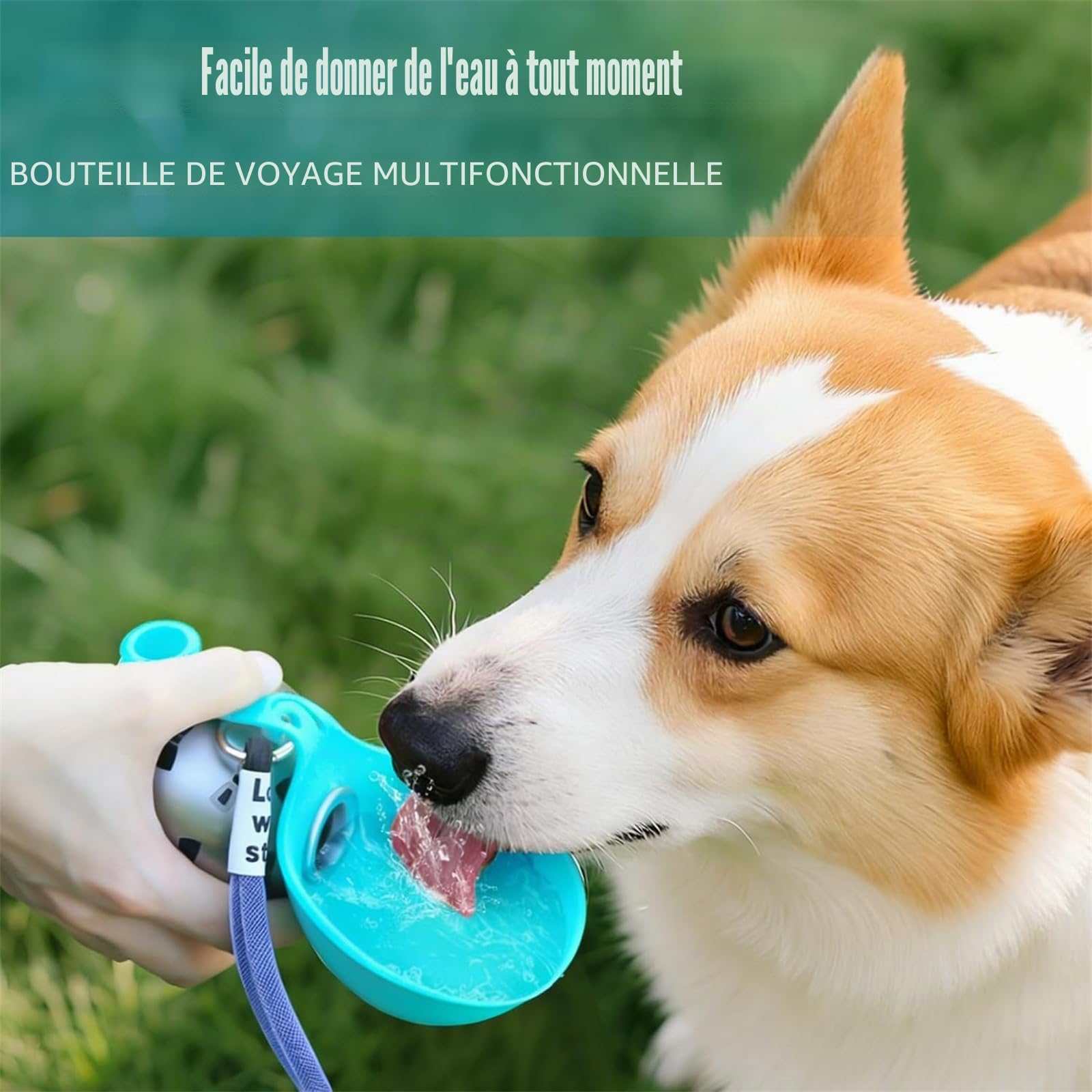 Gourde pour Chien pour Les déplacements, Bouteille d'eau Portable pour Animaux de Compagnie, en Acier Inoxydable,285ML Compacte pour Chiens et Chats,Gourde Anti-Fuite avec Gamelle Pliable en Silicone