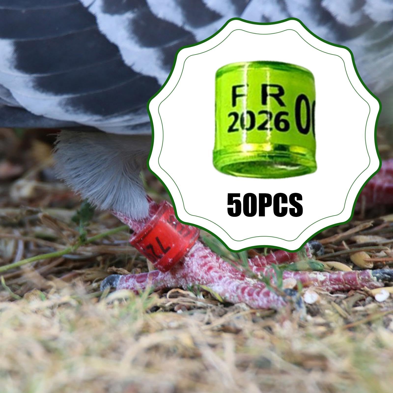 Sharplace 50 Piezas Anillas para Palomas Bandas Identificadoras para Patas de Pájaros Anillos Reutilizables para Control de Aves Material de Aluminio Y Plástico, Verde Claro — view 4