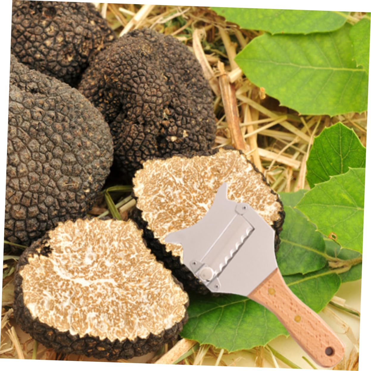 VINTORKY Truffle Slicer with Handle Cheese Shaver Kitchen Gadget for Cheese and Non Slip Easy to Use Kitchen Tool